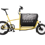 muli muskel lemon Alfine 11